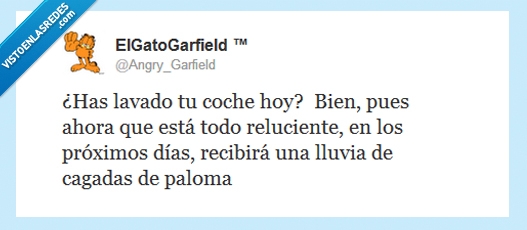 Angry_Garfield,limpio,coche,cagadas,siempre igual