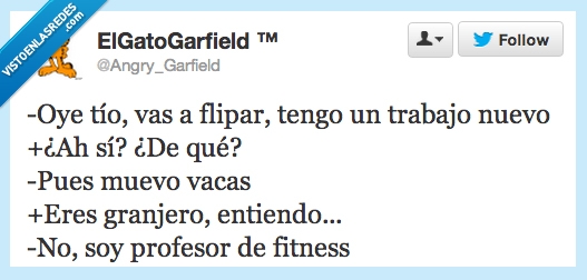 vacas,gordas,fitness,ejercicio