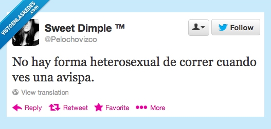 correr,ridículo,avispas,forma,heterosexual