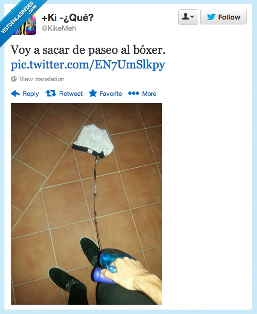paseo,pasear,bóxer,perro,calzoncillo,humor,humor absurdo,chiste,twitter