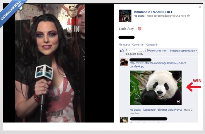 Amy,Evanesence,Panda,Parecidos,troll