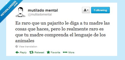 animales,lenguaje,comprender,entender,idiomas,pajarito,twitter,poder,madre