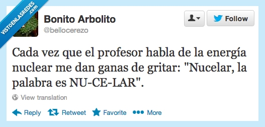 energía nuclear,nucelar,palabra,Homer,Simpson