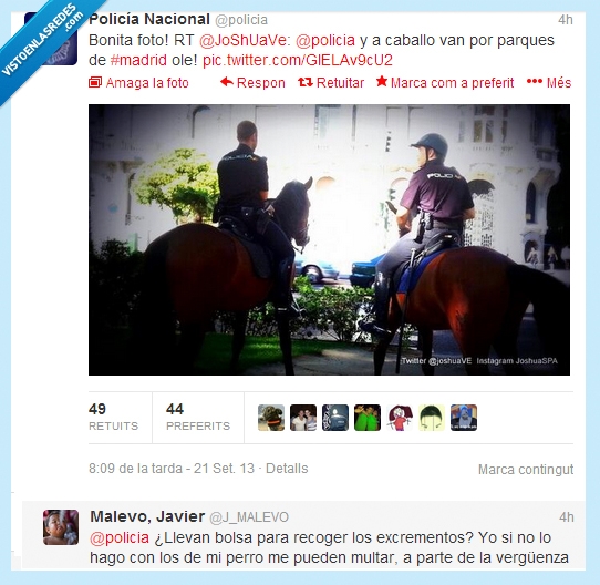 caca,genio,razón,toca pelotas,caballo,policia,bolsa