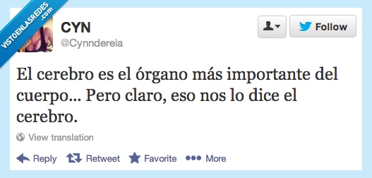 importante,organo,cerebro