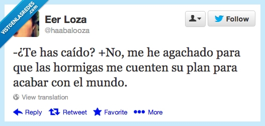 haabalooza,fin,mundo,acabar,hormigas,pla,agachar,caido,caer