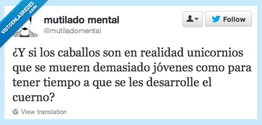 viejo,fantasia,cuerno,crecer,caballo,unicornio