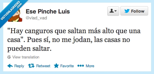 mas,saltar,tontada,obvio,canguro,casa