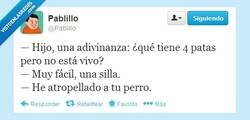 Enlace a Adivina, adivinanza por @pablillo
