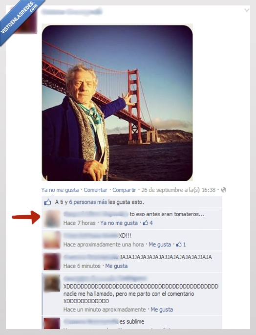 Ian McKellen,abuelo,campo,gandalf,puente,golden gate