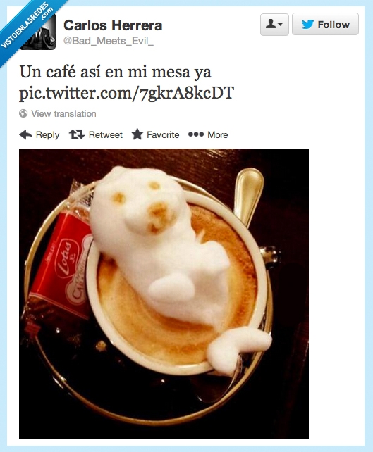 foca,café,nata,desayuno,taza