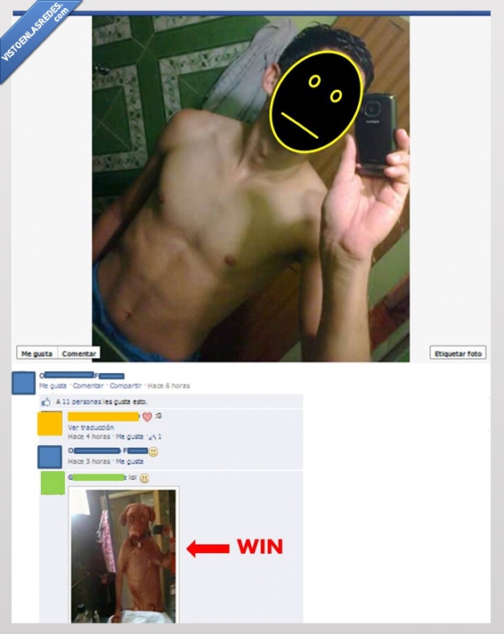 perro,cani,lavabo,espejo,comentario