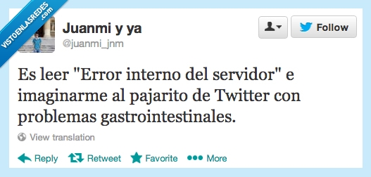 pajarito,twitter,problema,servidor,interno,gastrointestinal
