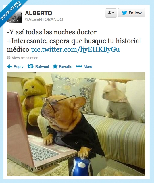 perro,mirar,ordenador,gafas,doctor,sintomas,historial,cara clavada