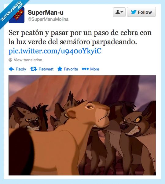 parpadeando,hienas,sarabi,el rey león,peatón,semáforo,paso de cebra