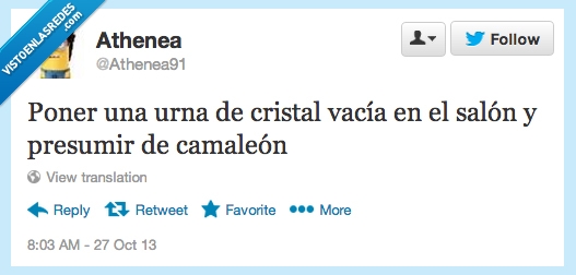 transparente,vacia,color,hipster,camaleón,cristal,urna