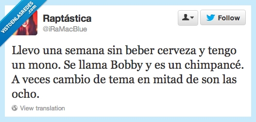 conversación,hora,random,cerveza,chimpancé,mono,bobby,coherente