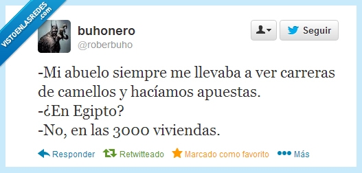 Twitter,drogas,Camellos,3000 viviendas,Carreras,egipto