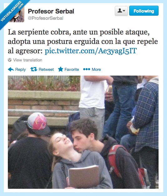 serpiente,cobra,beso,chica,friendzone,apartar