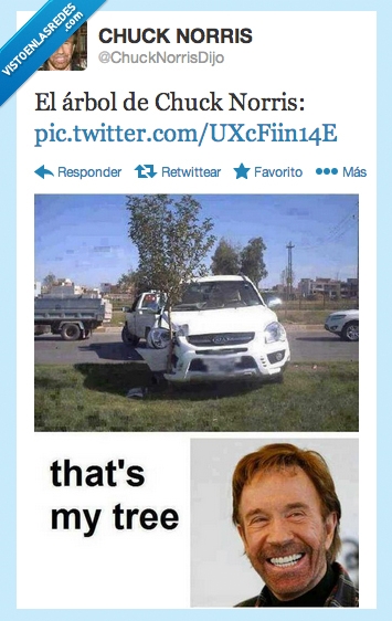 chuck norris,fuerte,coche,accidente,choque,resistente,árbol