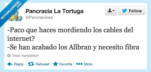 esas tripitas todo regulares,mordiendo,morder,cable,internet,allbran,fibra,comer