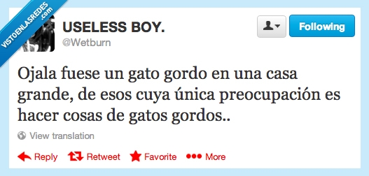 gato,gordo,wtf,absurder,wetburn,twitter,hacer,cosas