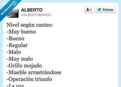 Enlace a Yo canto como un gato atropellado por @AlbertoBando