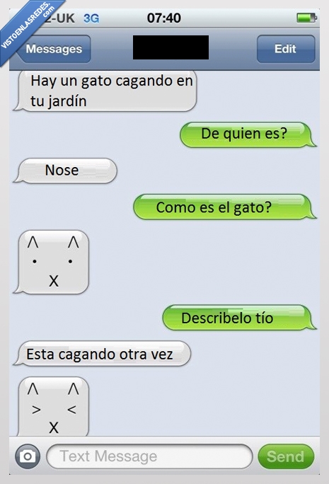 gato,cagando,colegas,ojos,whatsapp