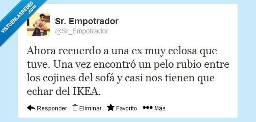 celosa,pelo,mujer,sofá,ikea,rubio,otra,echar