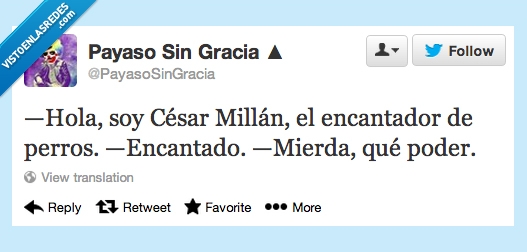 encantador,César Millán,perros,poder,arte