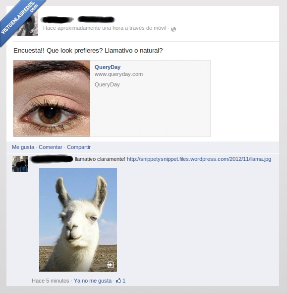 llama,llamativo,troll,maquillaje,natural