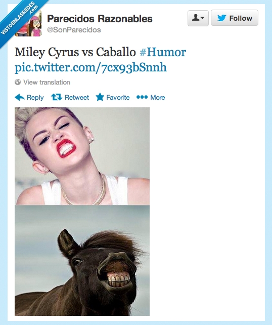 razonable,posicion,dientes,boca,parecidos,miley cyrus,caballo