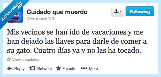 vecinos,ido,vacaciones,dejado,llaves,para,darle,comer,gato,cuatro,días,tocado