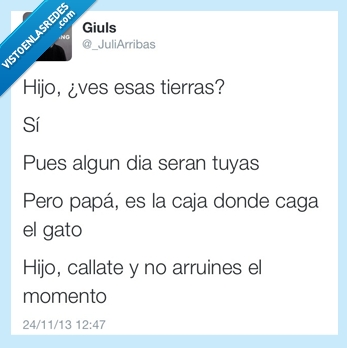 hijo,ves,tierras,caja,arena,caga,gato,calla,arruines,momento