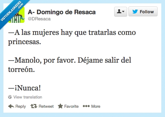 dragón,torreón,hay que tratarlas,princesa,principe