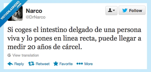 coges,intestino,delgado,persona,viva,pones,linea,recta,puede,llegar,medir,20,años,cárcel