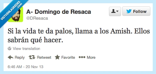 palos,Amish,la vida,te construyen una granja,chollo,regalao,yasta,STAP,sabran,hacer,vida