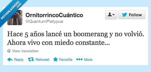 año,constante,miedo,volver,tire,boomerang