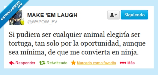 tortugas,mutación,ninja,oportunidad,convetir,vida,elegir