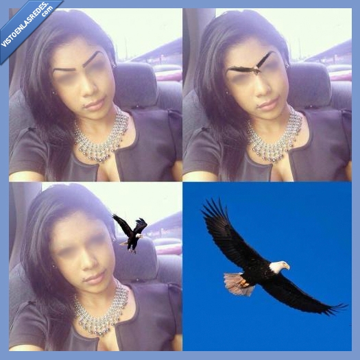 Aguila,Real,Frente,cejas,pintadas,tatuadas,tatuaje,por qué te haces eso en la cara?