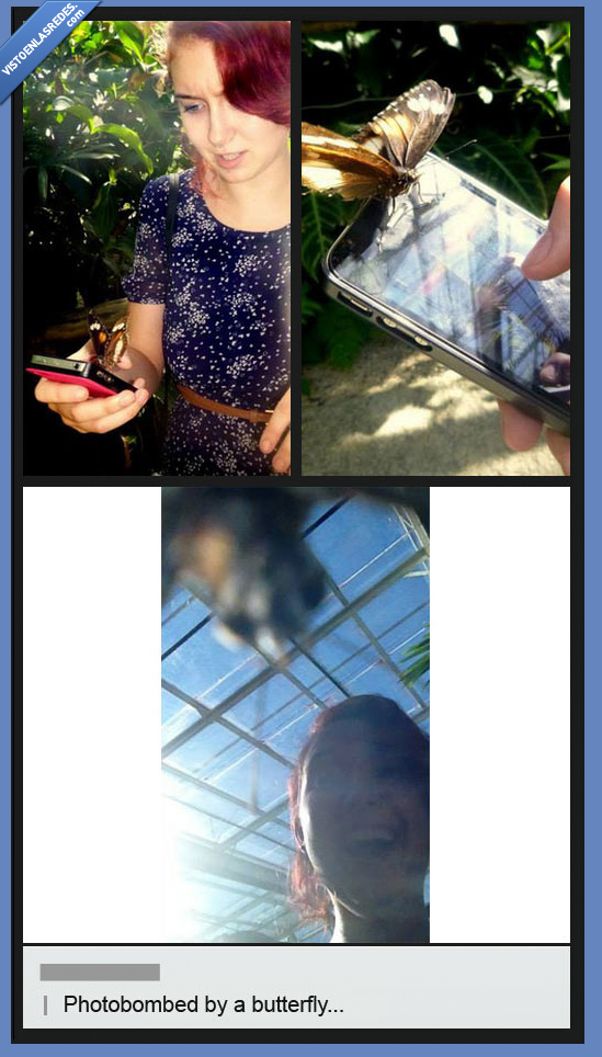 tumblr,photobomb,jodefotos,mariposa,movil,camara