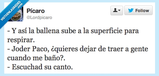 ballena,baño,ducha,bañera,visita,gente,personas,marido,mujer