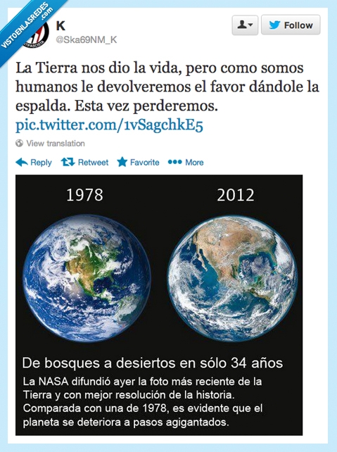 tierra,deforestacion,planeta,bosque,verde,desierto