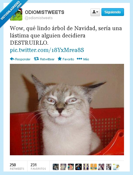 destruirlo,decidiera,pena,lastima,destruirlos,gatos,brillo,arboles