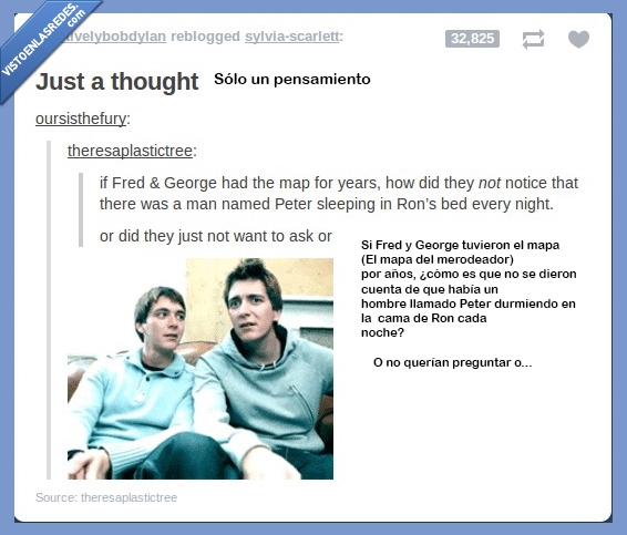 noche,cama,rata,mapa,Harry Potter,tumblr