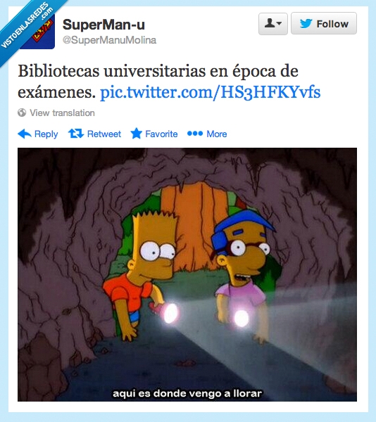 estudiar,exámenes,bibliotecas,milhouse,bart,los simpsons,llorar