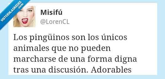 digna,forma,animal marchar,pinguino,unico,discusion