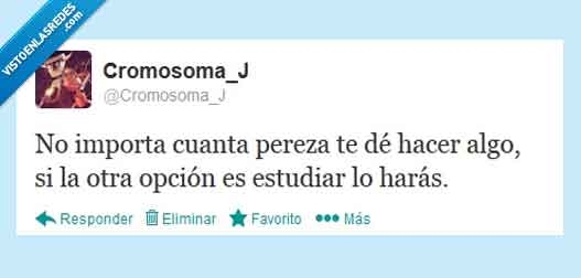 estudiar,otra,opcion,pereza