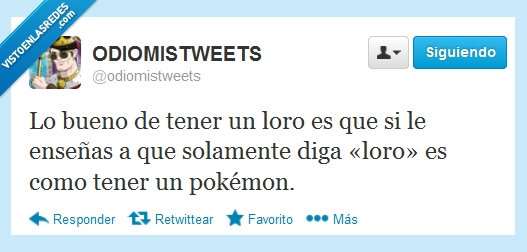 377501 - Ahora de golpe quiero un loro por @odiomistweets