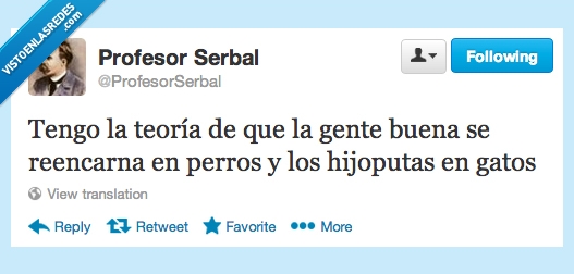 malo,bueno,gatos,perros,persona,reencarnar